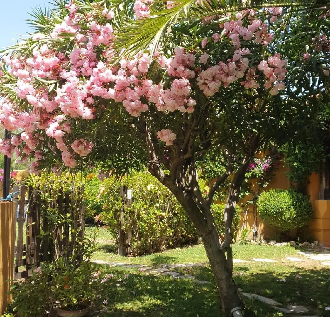Family Hotel Al- Ana Marbella